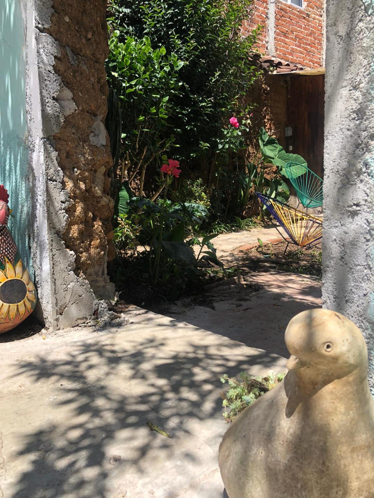 Hostal Casa Gaia San Cristobal de las Casas Exterior photo